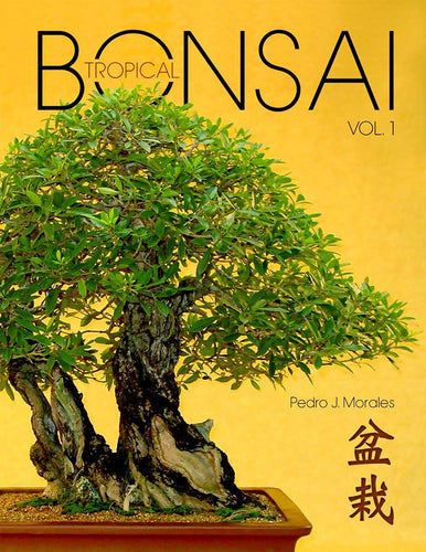 bonsai tropical portada
