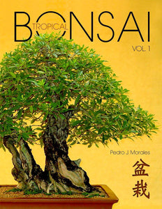 bonsai tropical portada