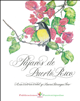 pajaros-de-puerto-rico