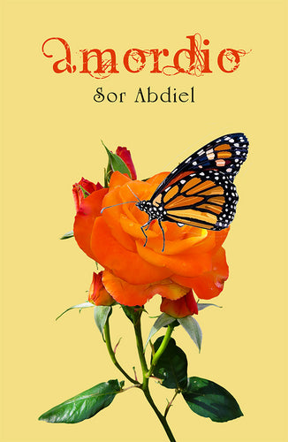 amordio portada